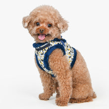 Puppia Huxley Vest Harness