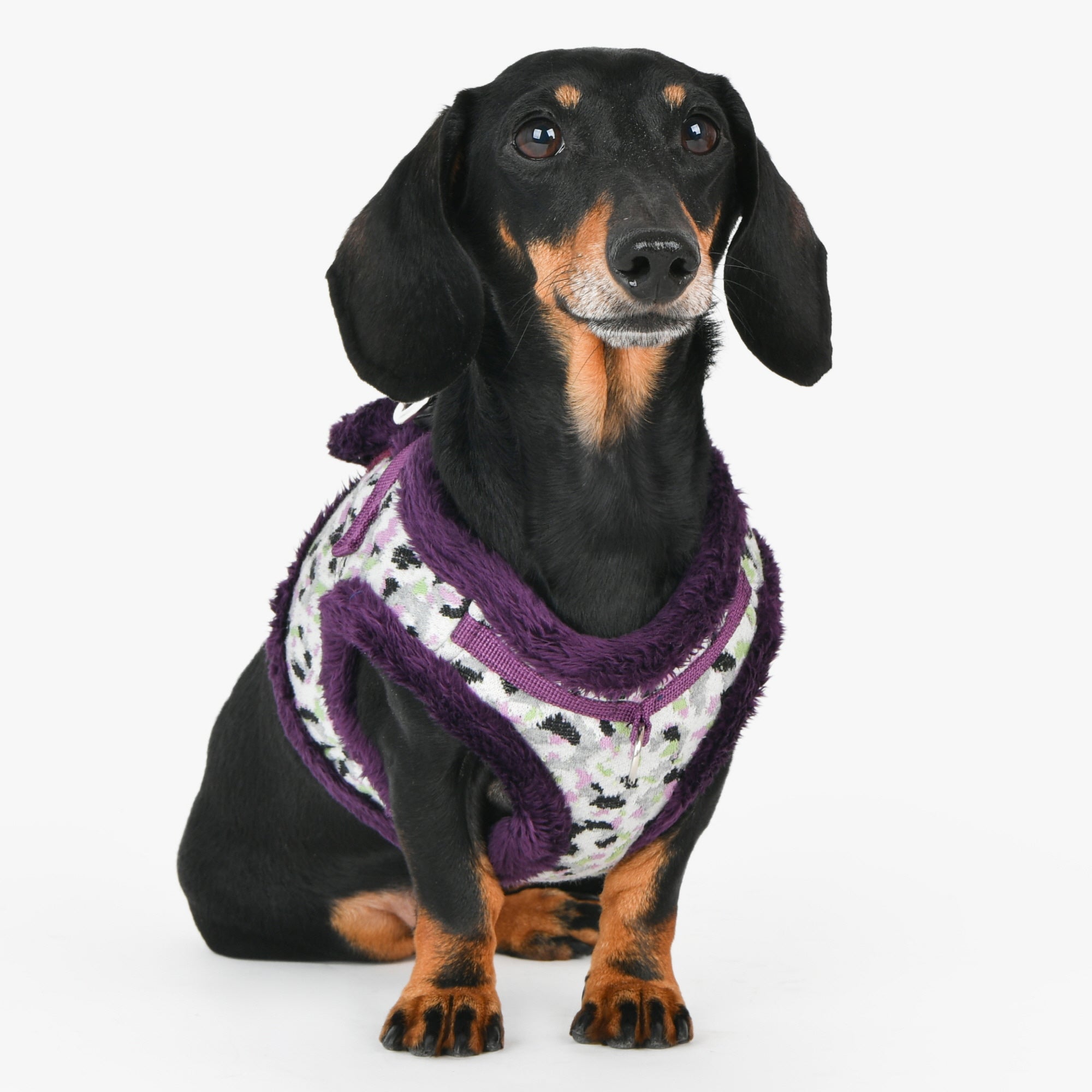 Puppia Huxley Vest Harness