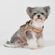 Puppia Lucas Vest Harness