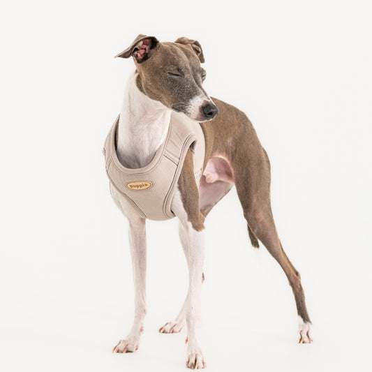Puppia Eco Vest Harness