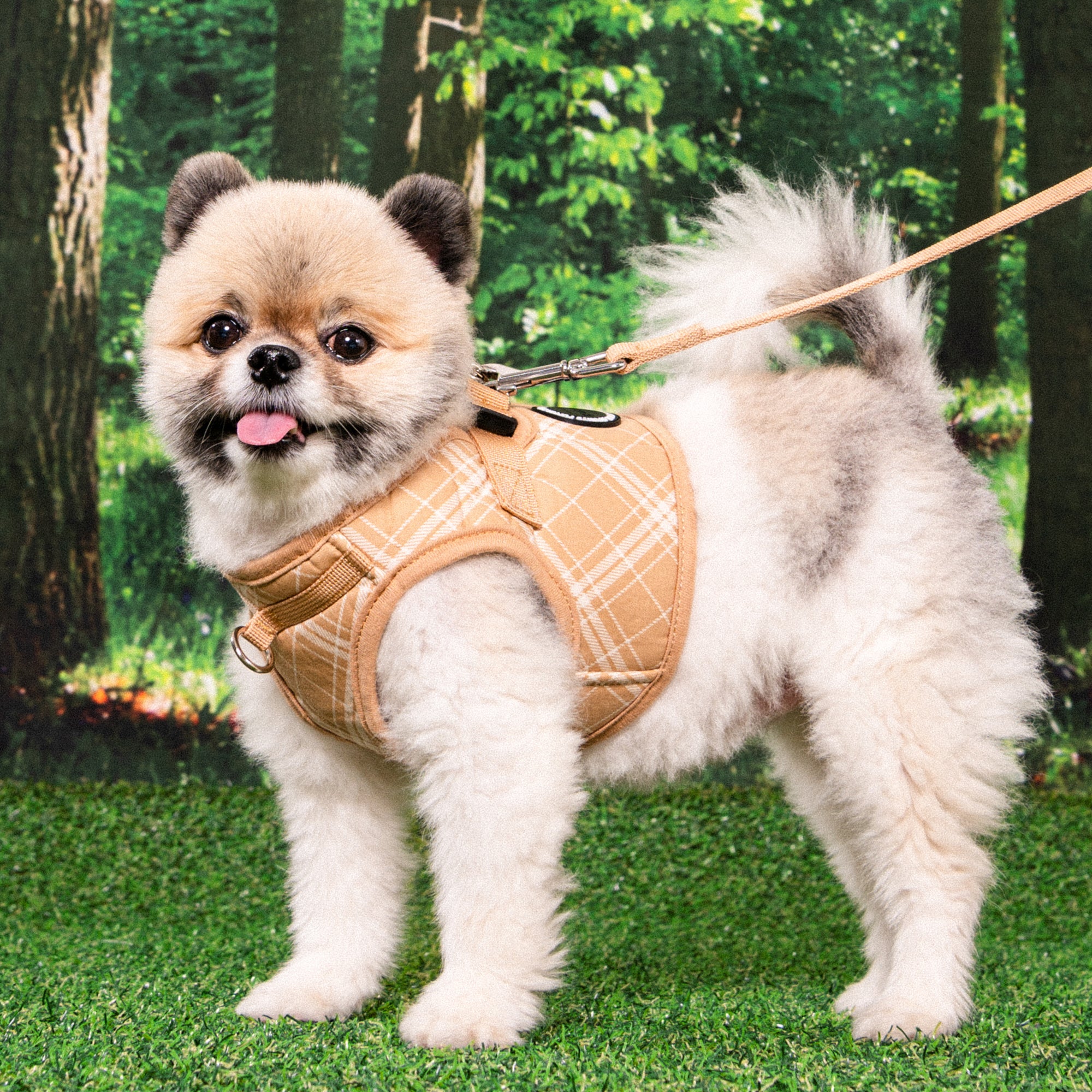 Puppia Corwin Vest Harness