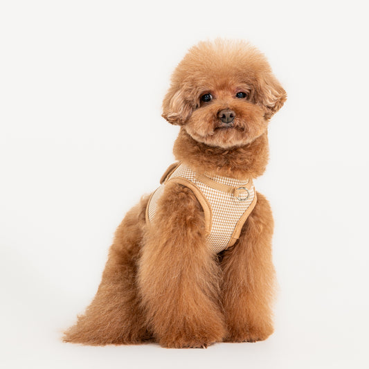Puppia Amatus Vest Harness