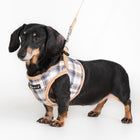 Windsor Vest