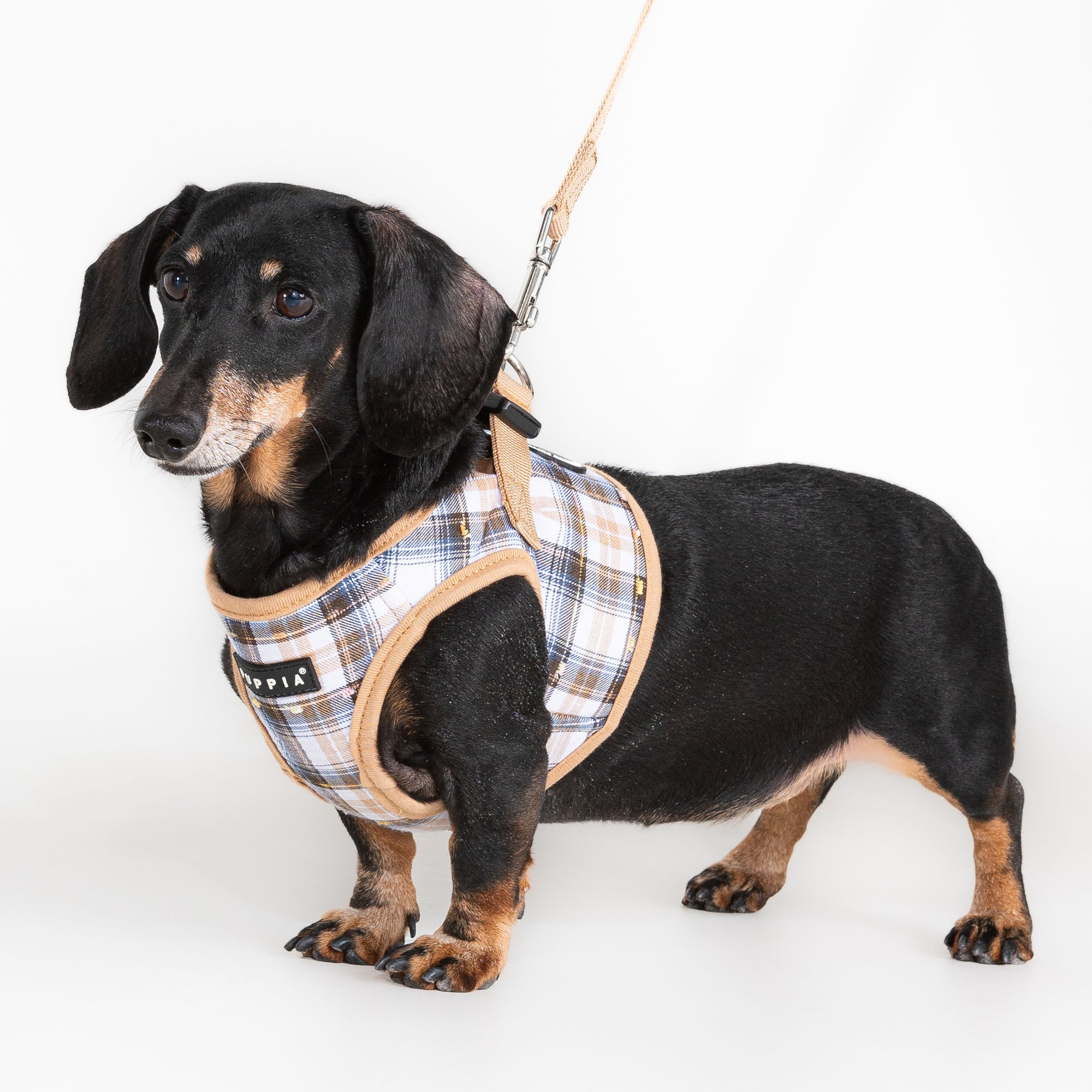 Windsor Vest
