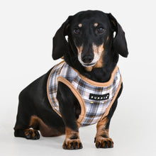 Windsor Vest