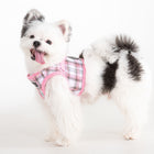 Windsor Vest