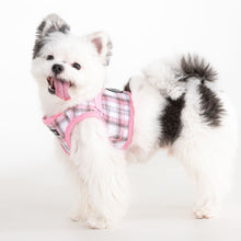 Windsor Vest