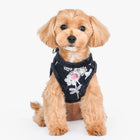 Pinkaholic NY Celandine Vest Harness