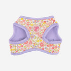 Ione Vest