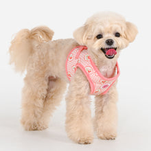 Trixie Vest