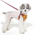 Puppia Irvin Comfort Harness