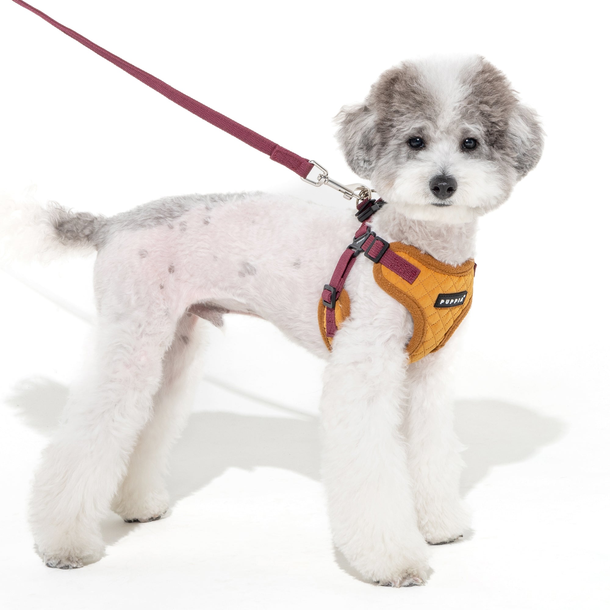 Puppia Irvin Comfort Harness