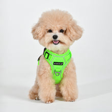 Puppia Neon Harness H