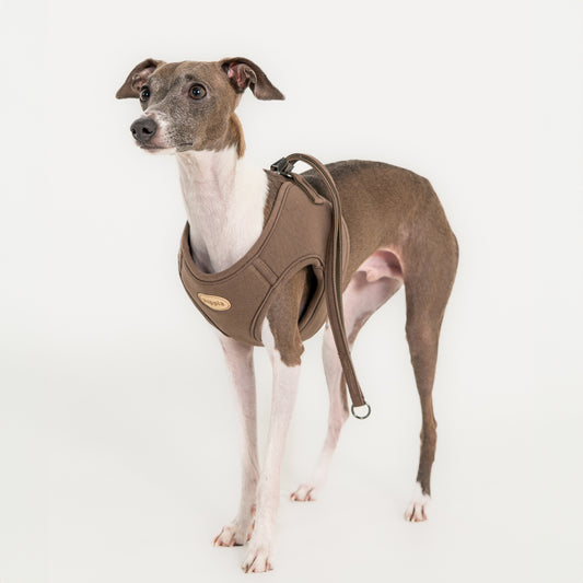 Puppia Eco Harness Q
