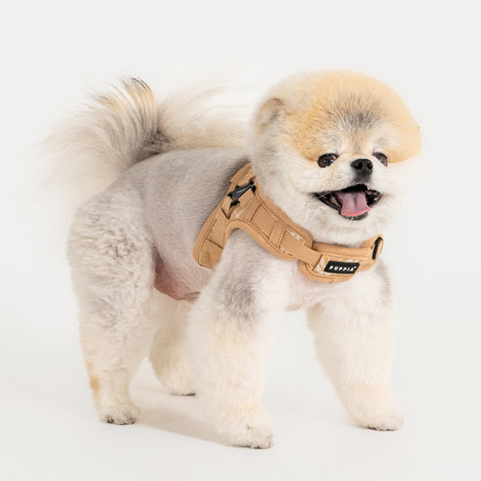 Puppia Corwin Harness X