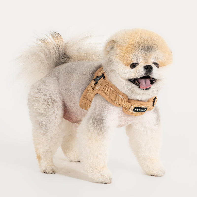Puppia Corwin Harness X