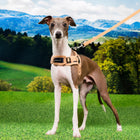 Puppia Corwin Harness X