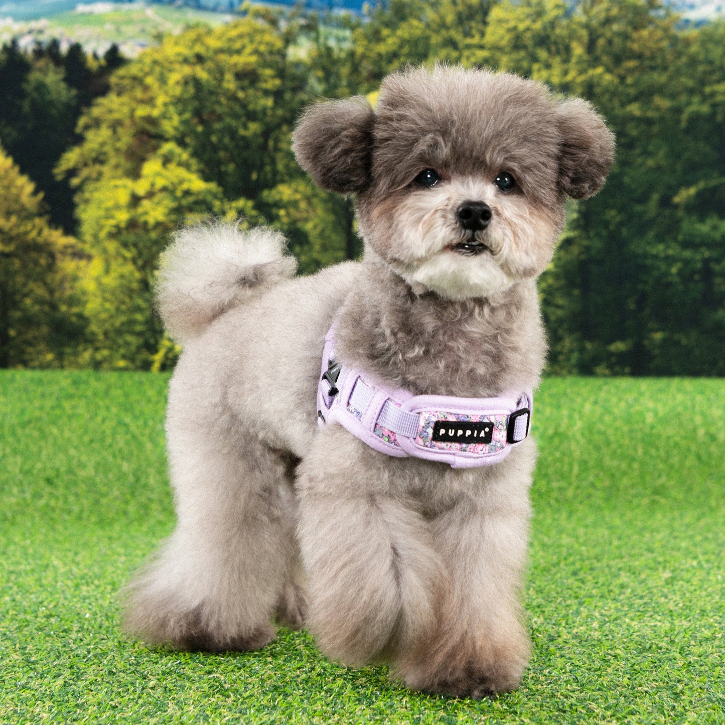 Puppia Kealoha Harness X