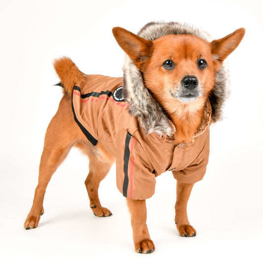 Puppia Fallon Winter Coat