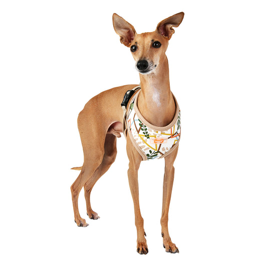Puppia Botanical Harness
