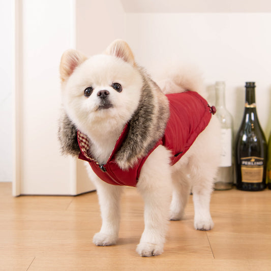 Puppia Hollis Reversible Winter Vest