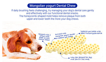 Fabrechew Mongolian Yogurt Chew - 10 Sticks/200g