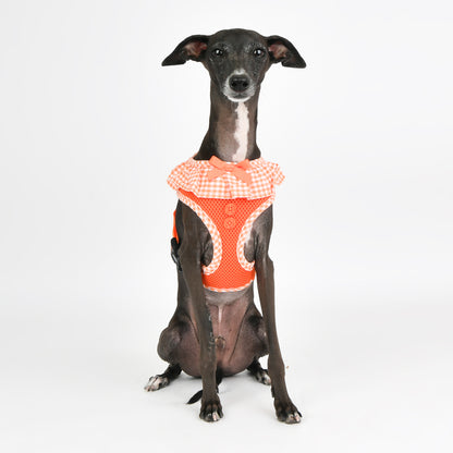 Puppia Vivien Harness