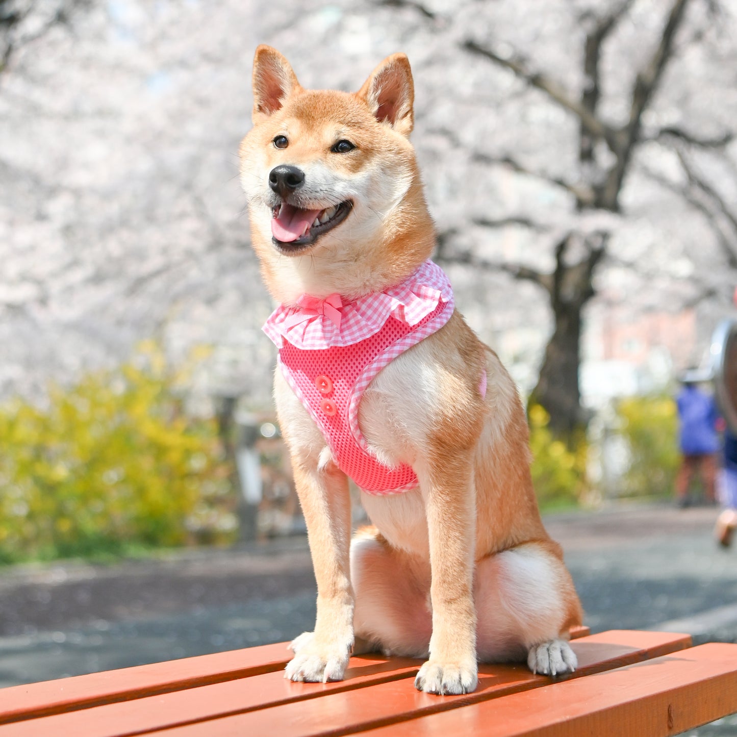 Puppia Vivien Harness