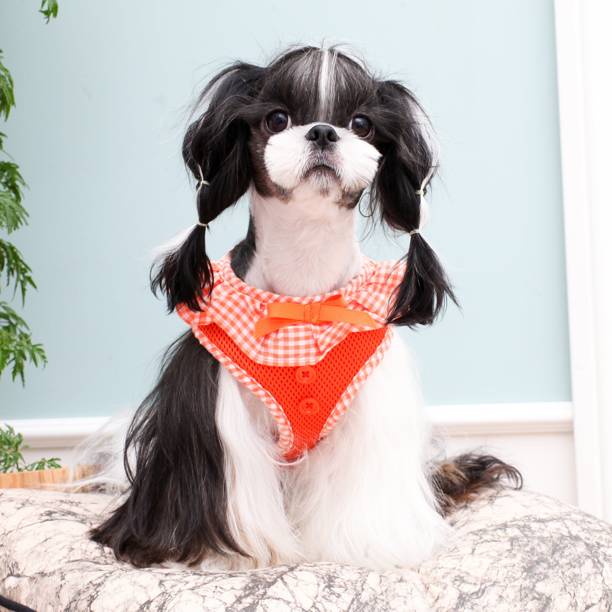 Puppia Vivien Vest Harness