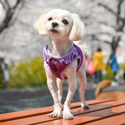 Puppia Vivien Vest Harness