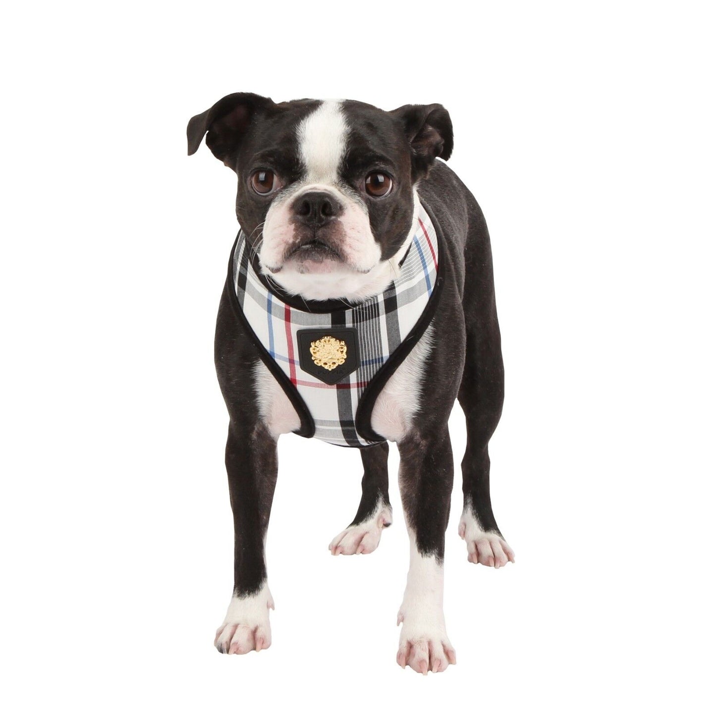 Puppia Junior Harness