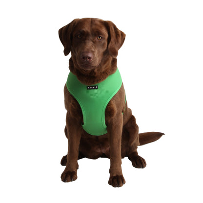 Puppia Soft Harness